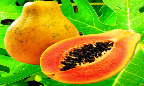 Papaya