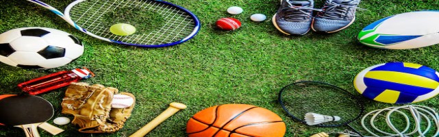  Wings Sports Contact