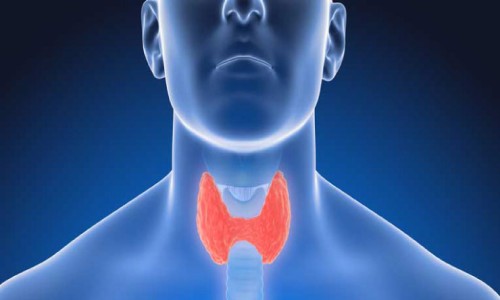 Thyroid ( थायरॉयड समस्याएं )