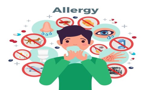 allergies ( एलर्जी समस्या )