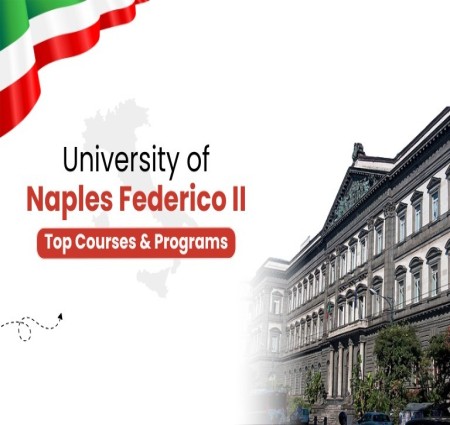 What Are the Admission Requirements for University of Naples Federico II?