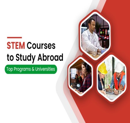 STEM Courses to Study Abroad: A Guide for Students Planning to Study in Italy