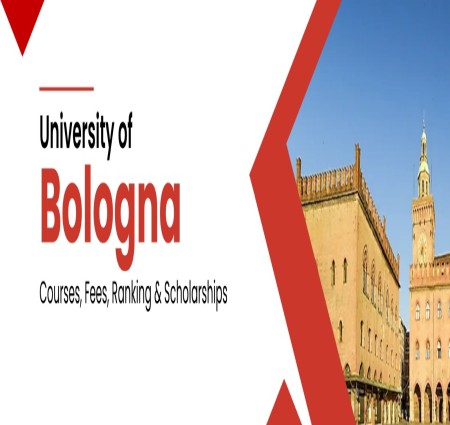 What Courses Are Offered at the University of Bologna?