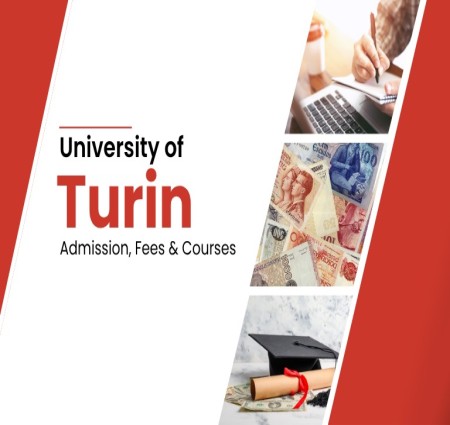 Why Choose the University of Turin for Higher Education?