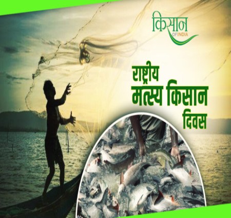 मत्स्य उत्पादन (मछली उत्पादन)