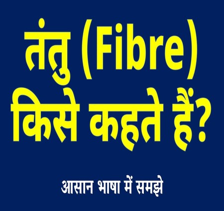 तंतु का अर्थ