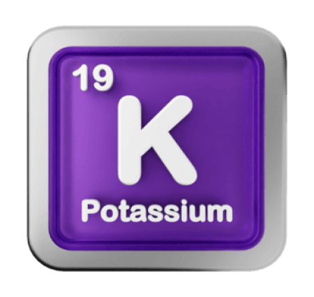 पोटेशियम के कार्य एवं महत्व