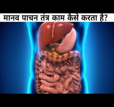 भोजन का पाचन