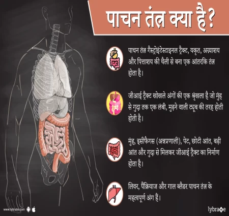 आए इ जाने की पाचन तंत्र का अर्थ