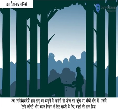 जावा के लकड़हारा