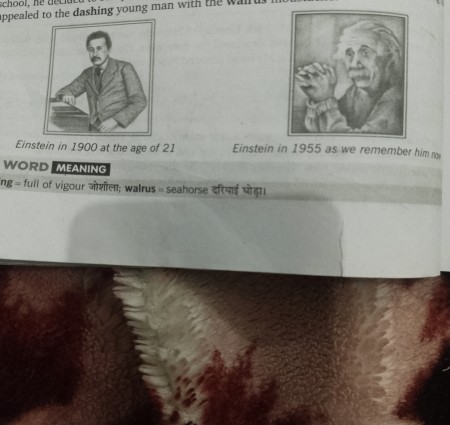 A truly beautiful mind