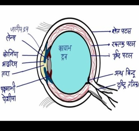 Manav netra tatha rang biranga sansar