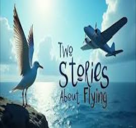 Two Stories about Flying