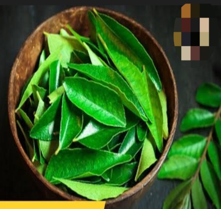 करी पत्ते का सेवन करने से पहले जानिए करी पत्ते के फायदे और नुकसान।