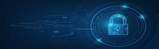 About fidelissecurity