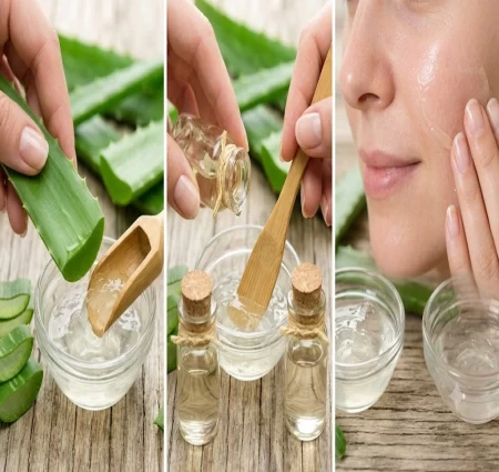 Aloe vera is a thick  stemless plant with green  water storing leaves