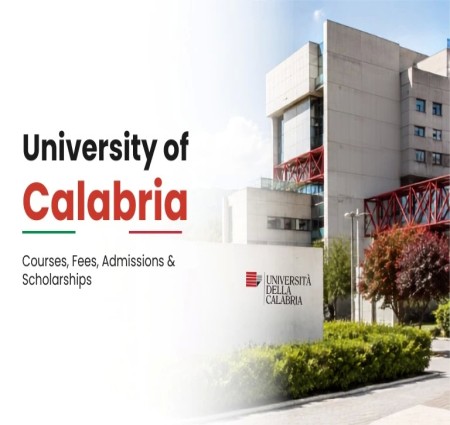 Is the University of Calabria Good for Engineering?