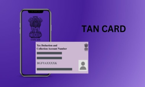TAX DEDUCTION AND COLLECTION ACCOUNT NUMBER (TAN) APPLY