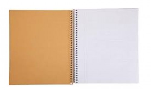 Mead spiral notebooks