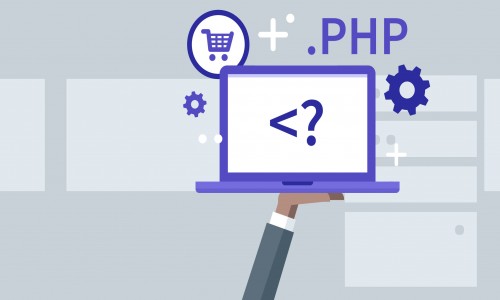 Core php web development