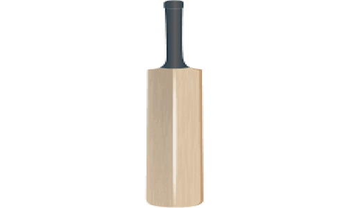 Cricket bat