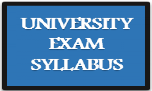 UNIVERSITY  EXAM SYLLABUS