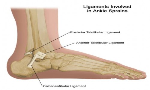 ANKLE SPRAIN/MUSCULAR STRAIN