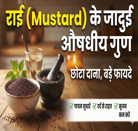 छोटा दाना  बड़े फायदे: जानिए राई के ये जादुई औषधीय गुण और उपयोग